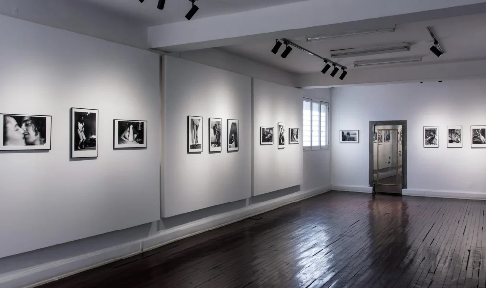 Julia-Toro_El-estado-fotografico_registro-Jorge-Brantmayer